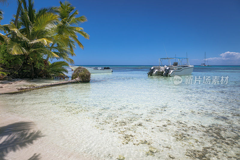 夏日天堂:热带海滩与船- Saona岛，加勒比海